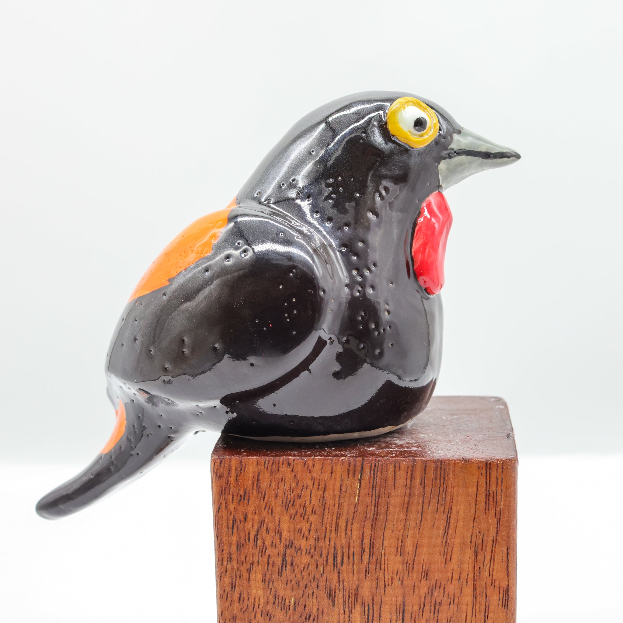 Tīeke ceramic sculpture front view, saddleback bird ornament