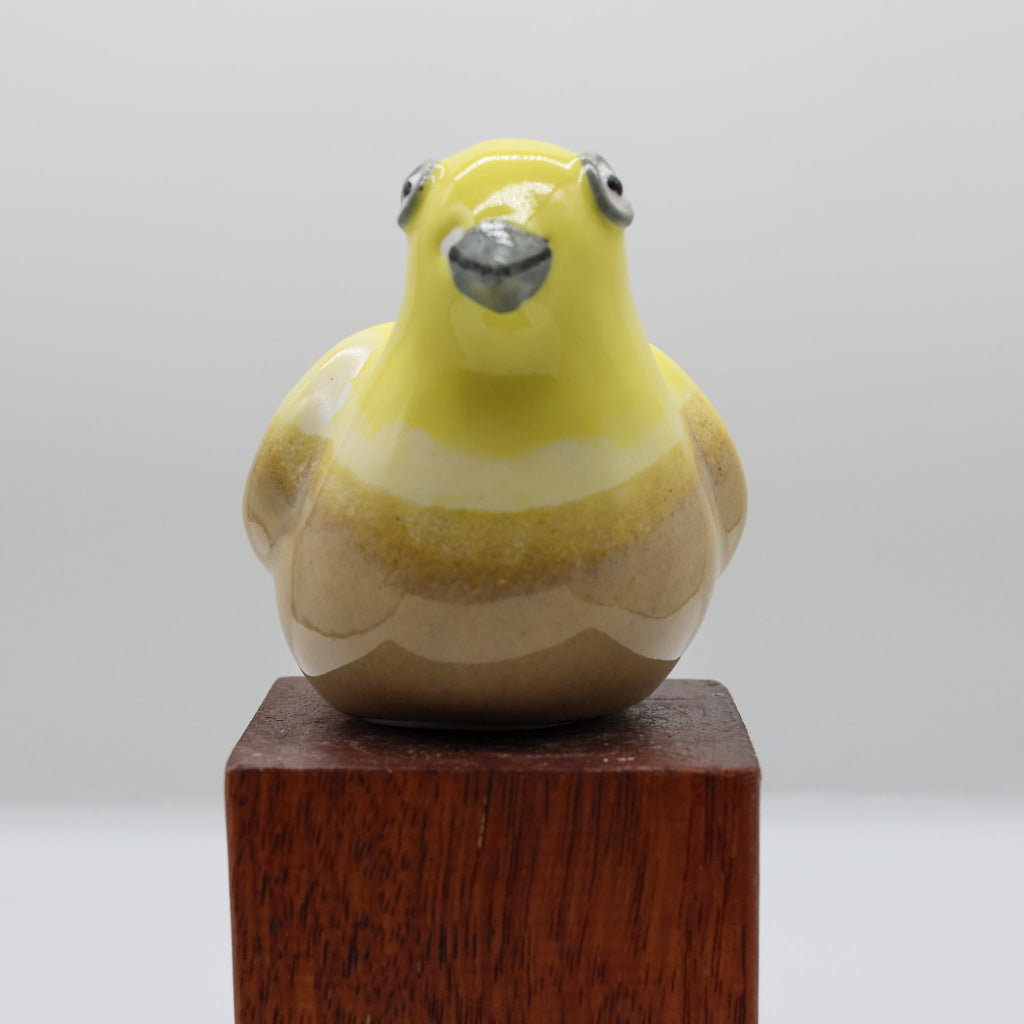 Handcrafted ceramic yellowhead sculpture, Cheeky Beaks collection