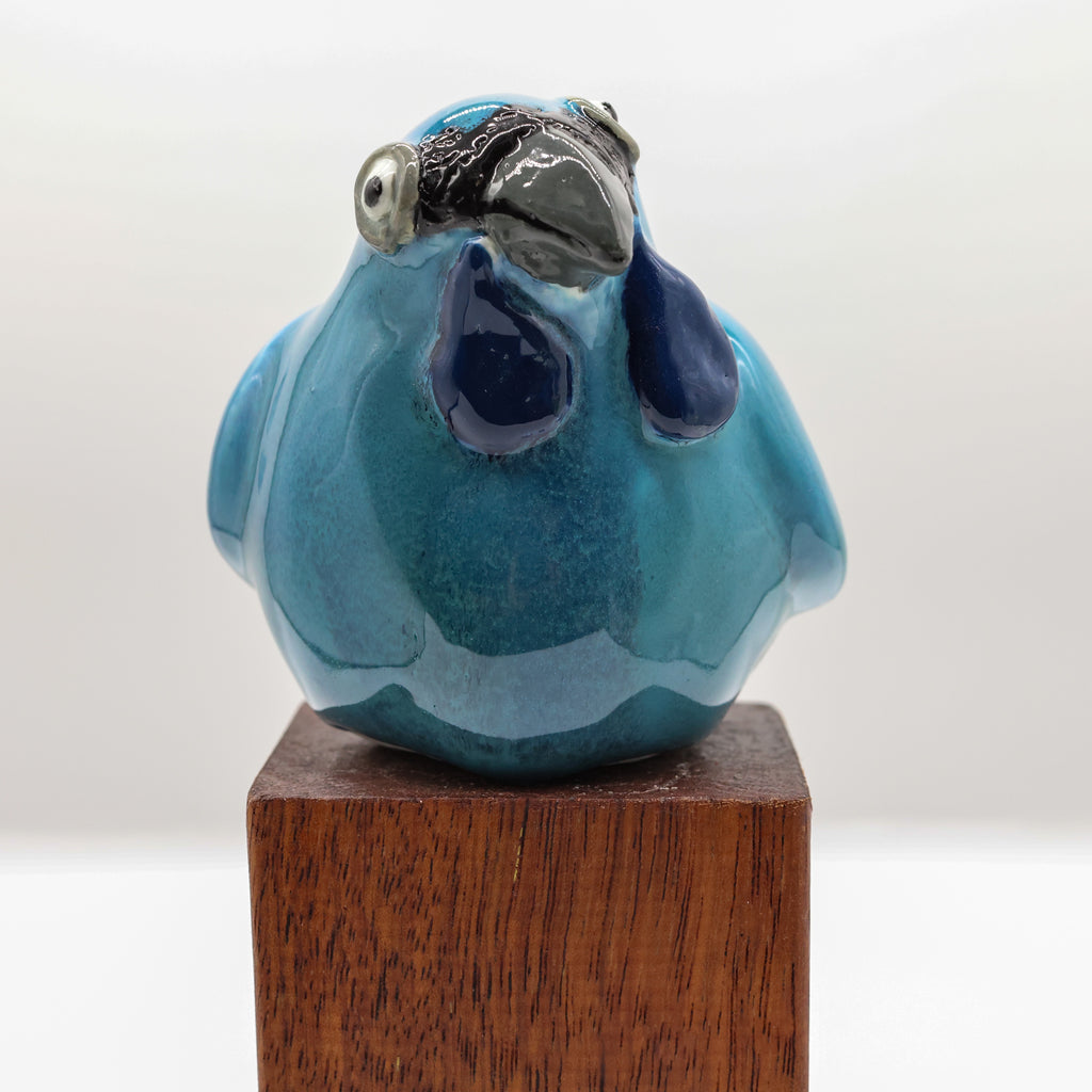 Kokako