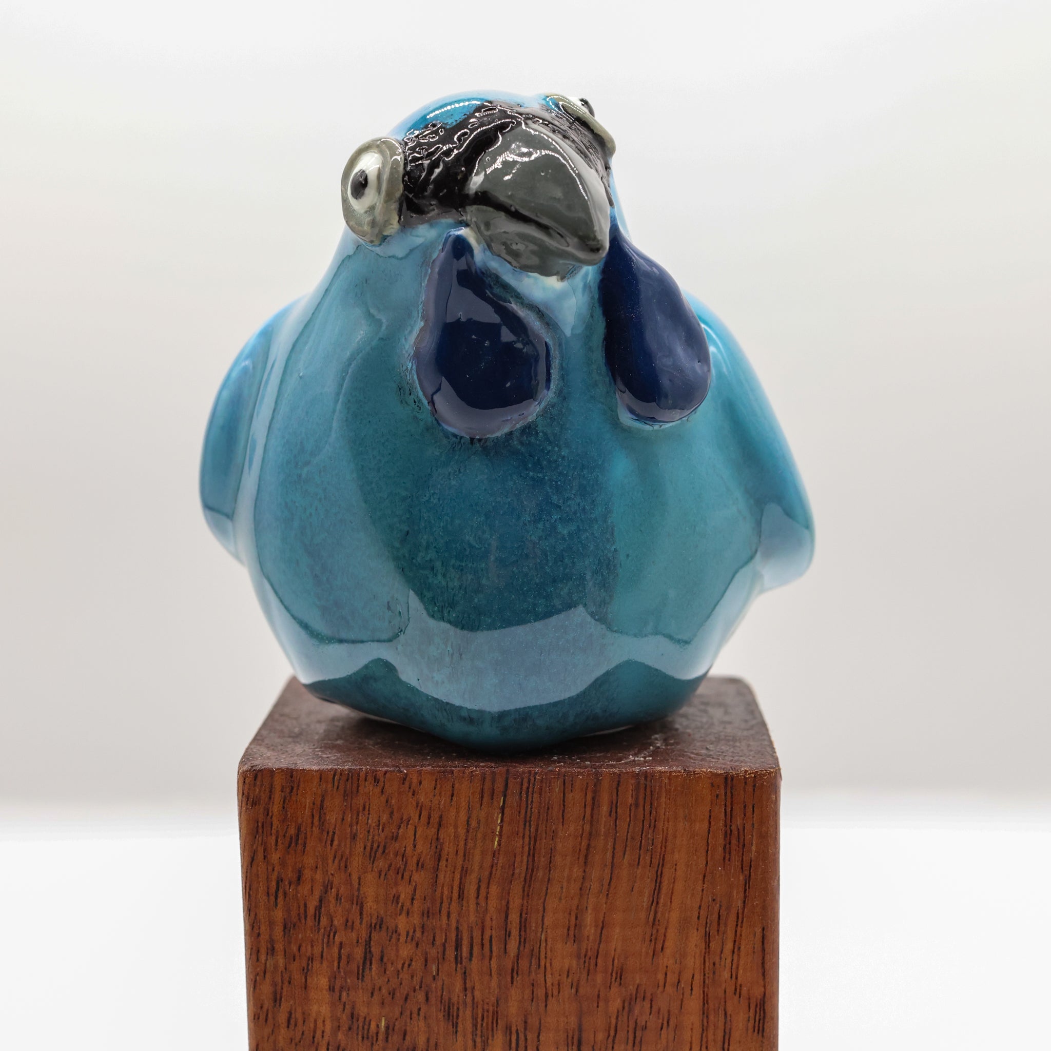 Kokako