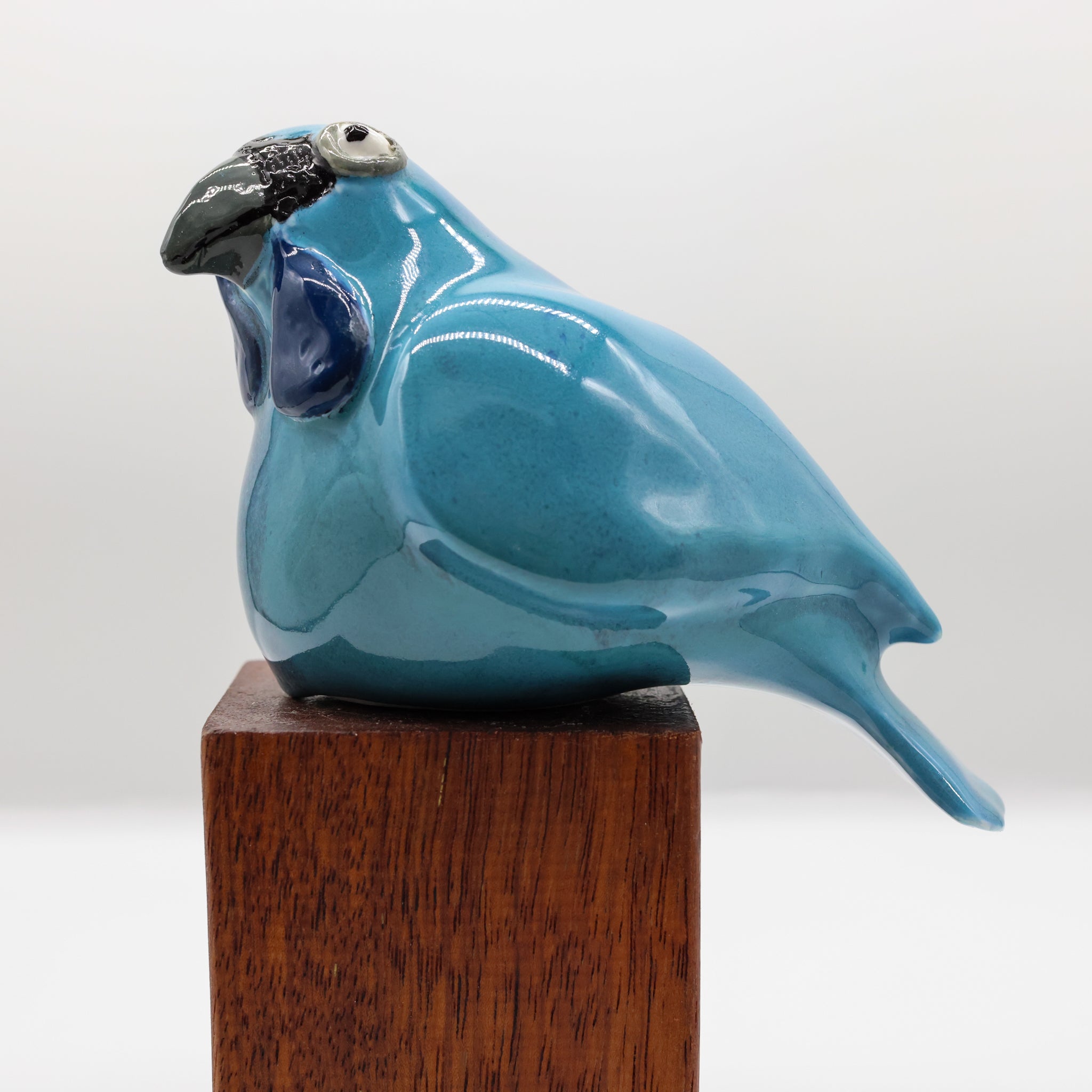 Kokako