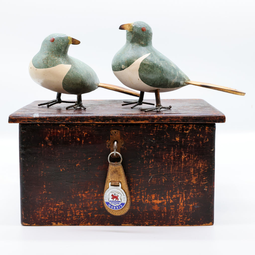 Stone Kererū