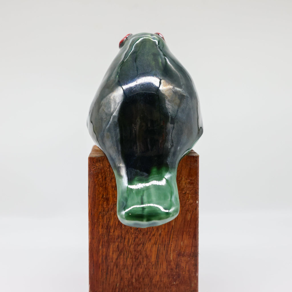 Kererū ceramic sculpture scale reference photo
