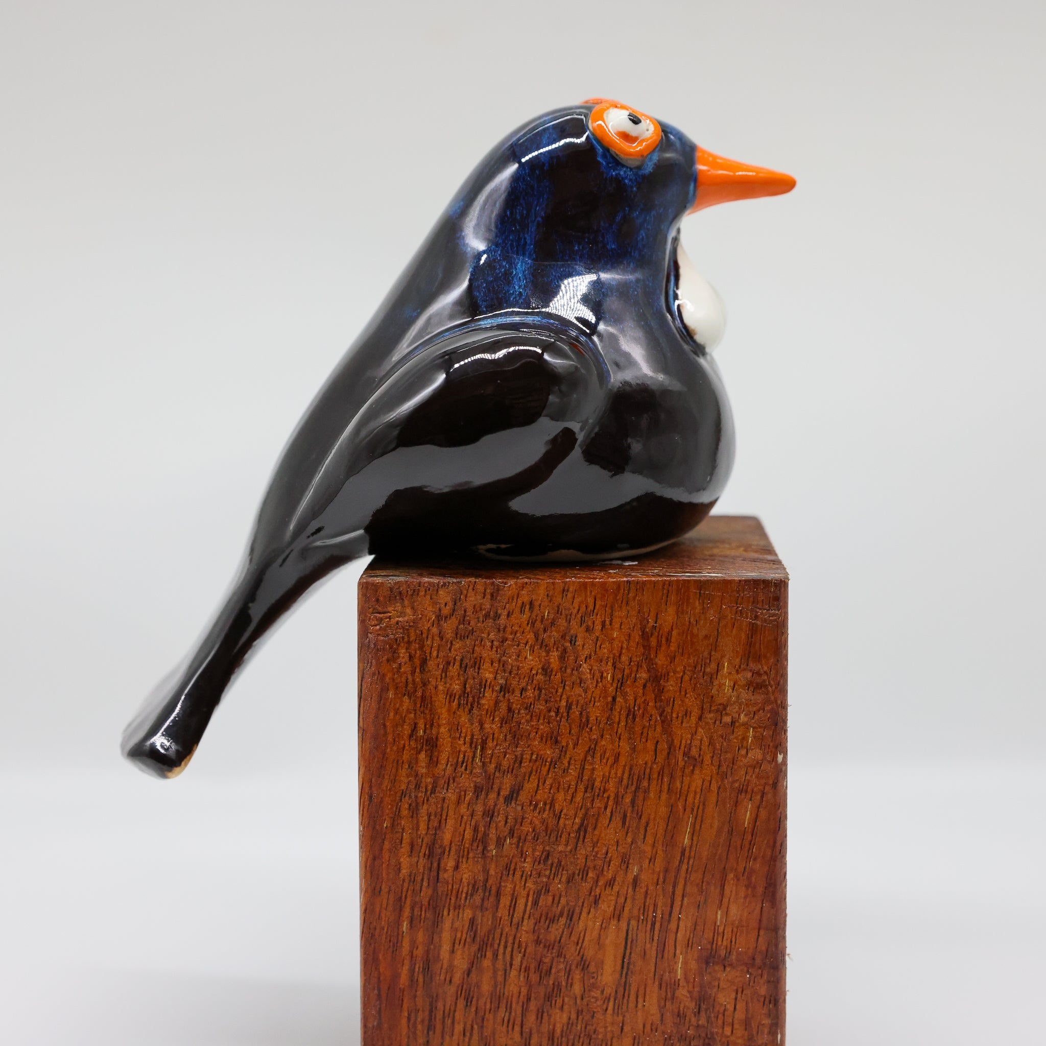 Tūī ceramic sculpture front view, New Zealand songbird ornament