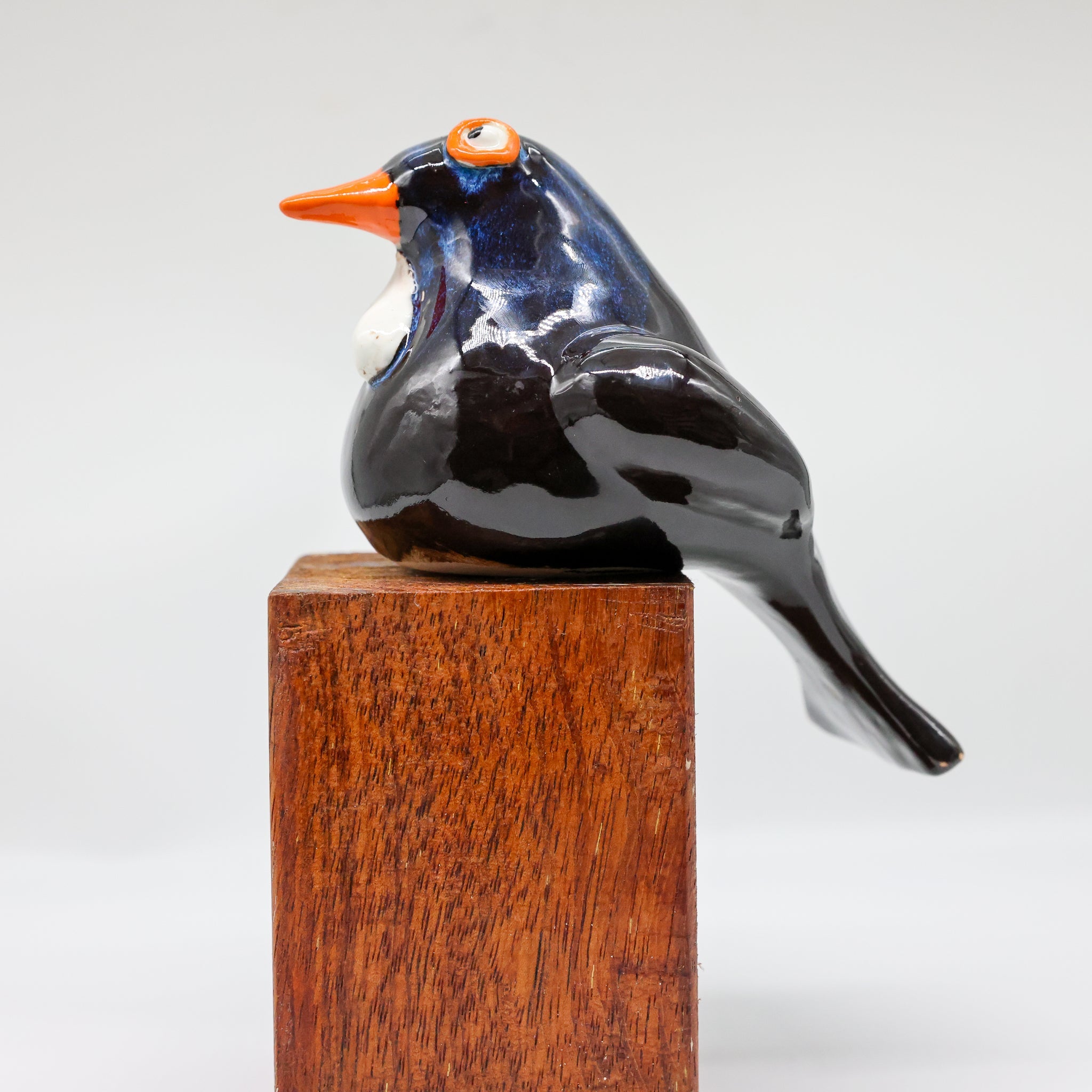 Tūī ceramic sculpture handcrafted in Arrowtown, New Zealand