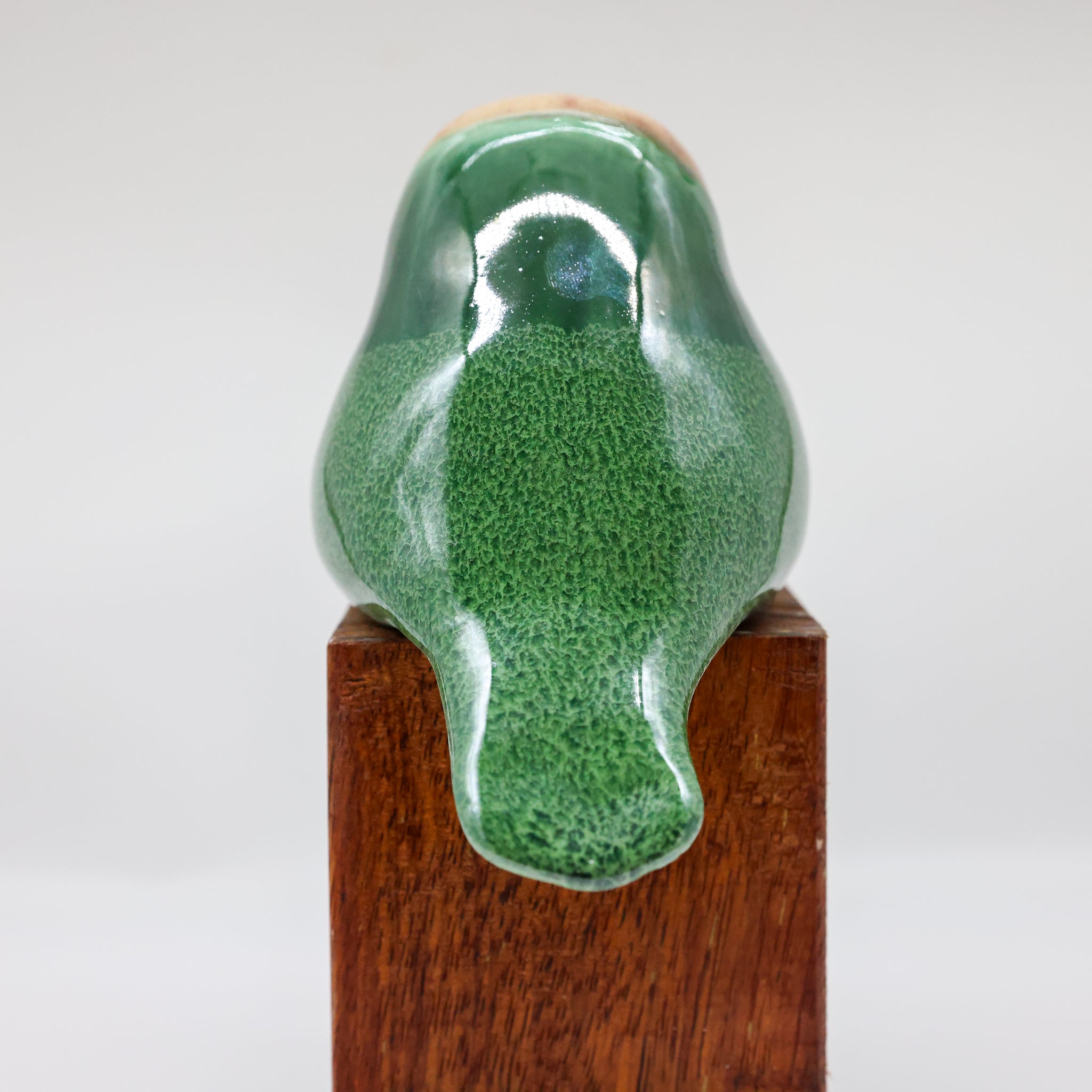 Kākāpō ceramic sculpture front view, rare New Zealand parrot ornament