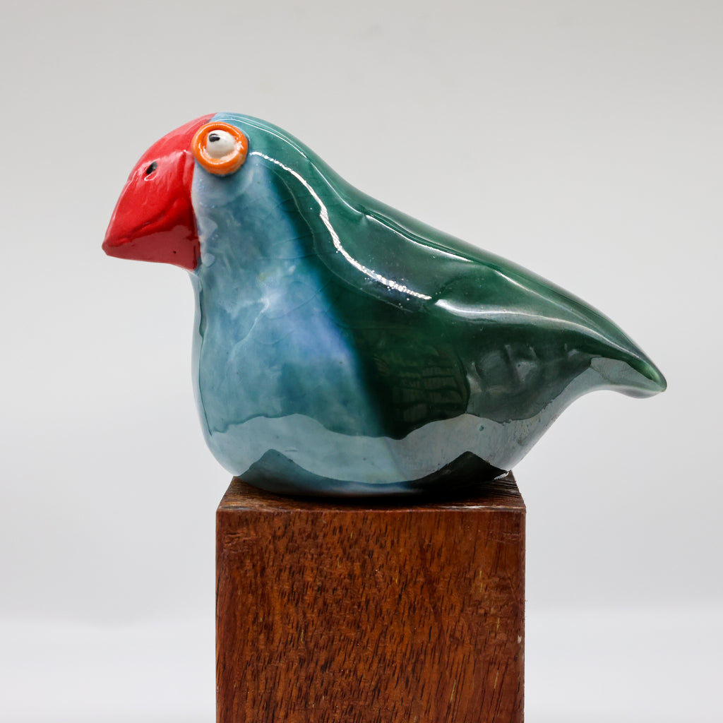 Takahe