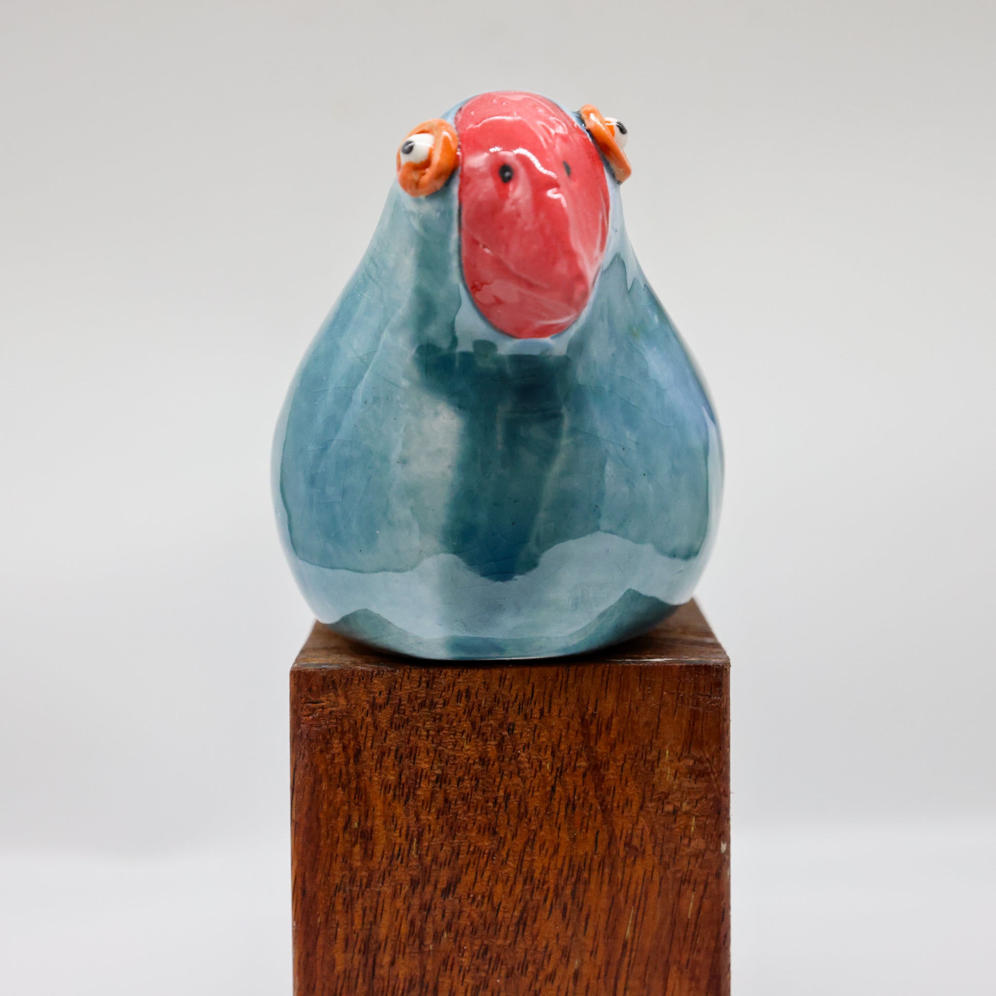 Takahe