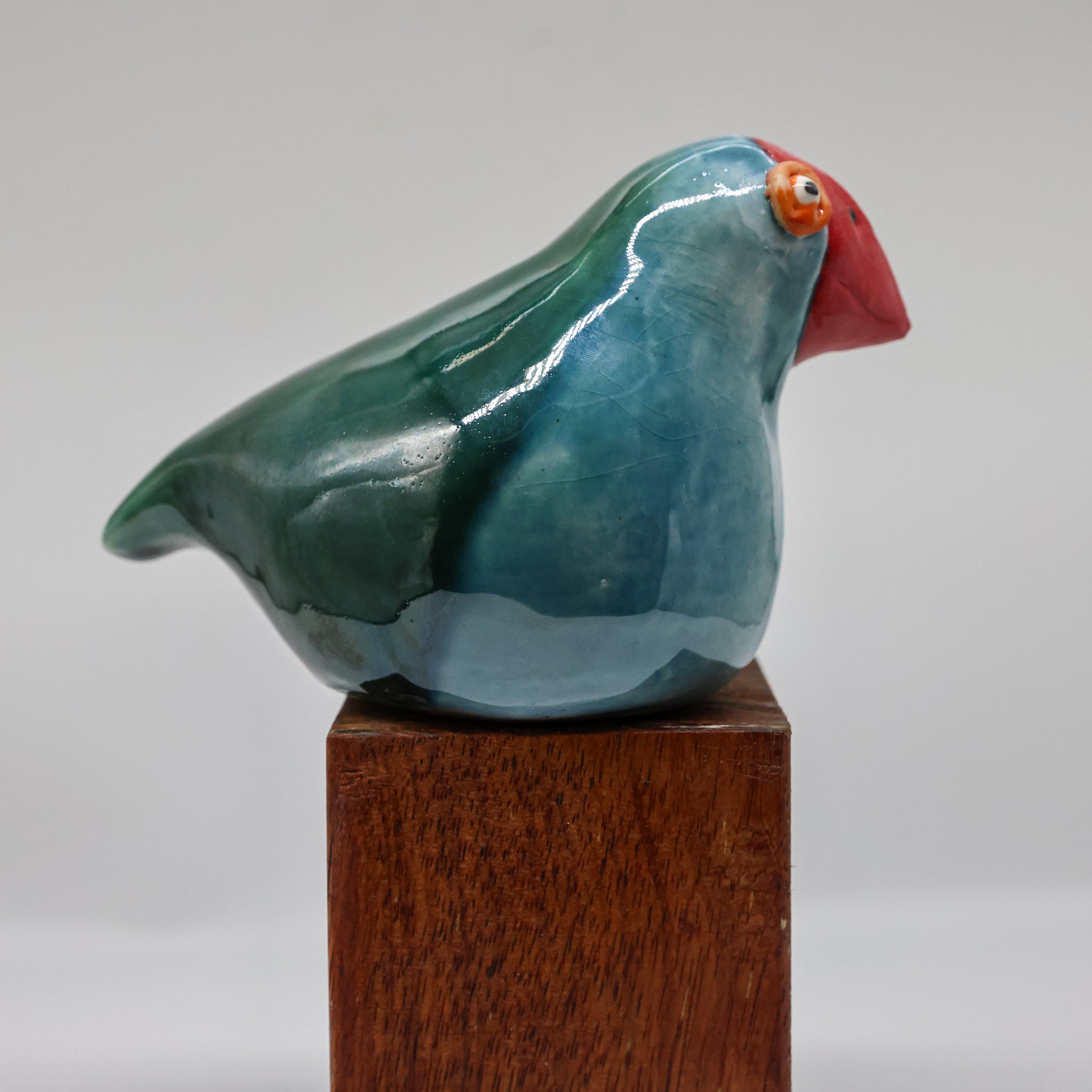 Takahe