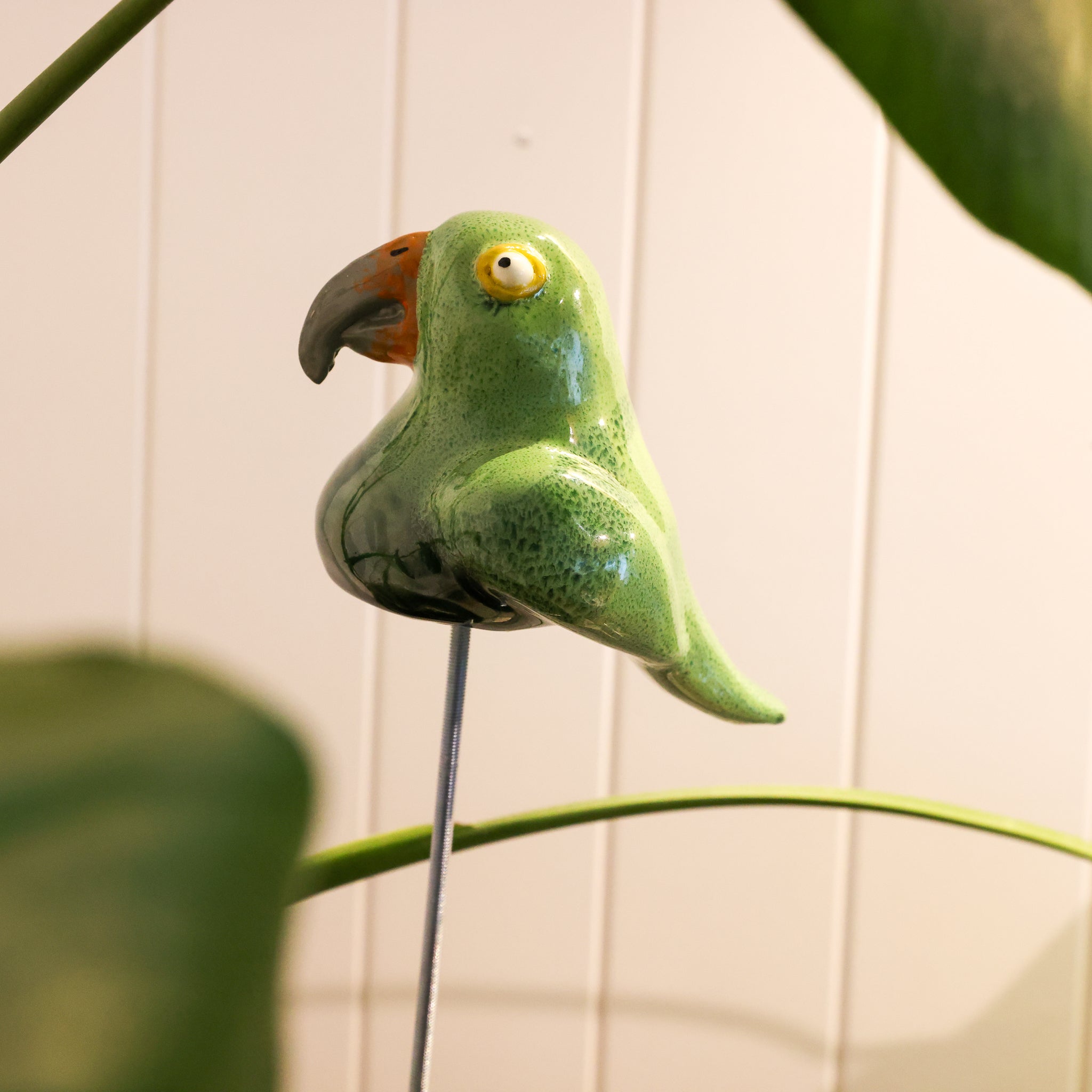 Kea ceramic sculpture front view, alpine parrot ornament